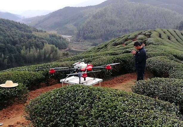 作物应用 | 极飞 P系列植保无人机茶树喷洒作业