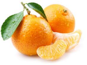 怎样区分柑橘叶片炭疽病与溃疡病?