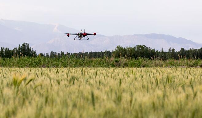 制约中国农业航空植保产业发展的主要因素有哪些？