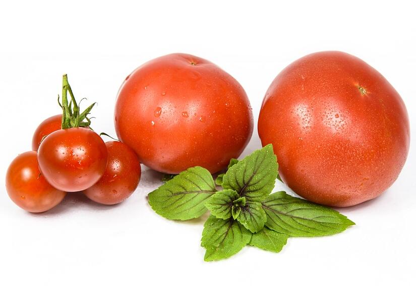 番茄细菌性叶斑病怎样用药
