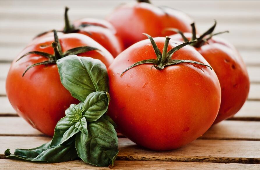 盆栽种植番茄的技巧