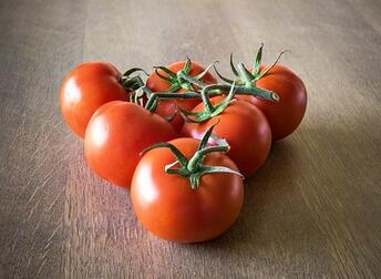 防治番茄叶霉病用什么药剂