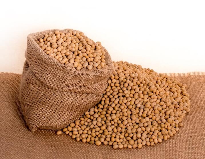 有机大豆如何施肥？有机大豆施肥技术