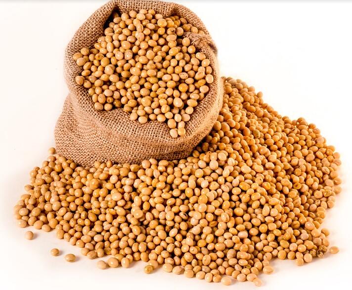 大豆如何施用硼肥？大豆施用硼肥的技术