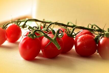 西红柿怎么施用叶面肥？西红柿施用叶面肥的方法