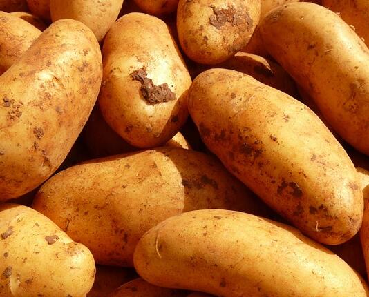 马铃薯各时期应如何施肥？马铃薯施农家肥有什么好处？