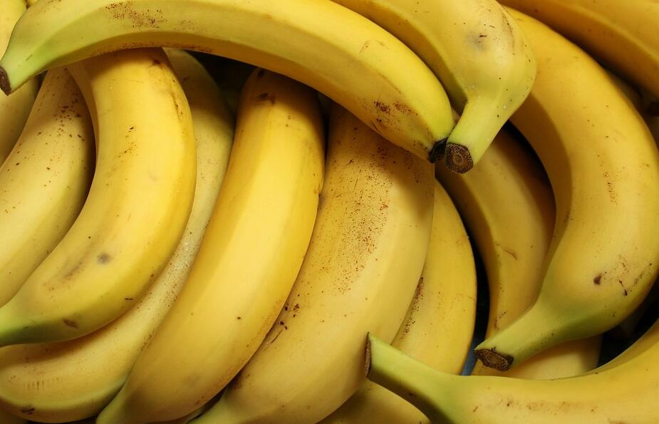 叶斑病对香蕉生产的影响？叶斑病的防治策略