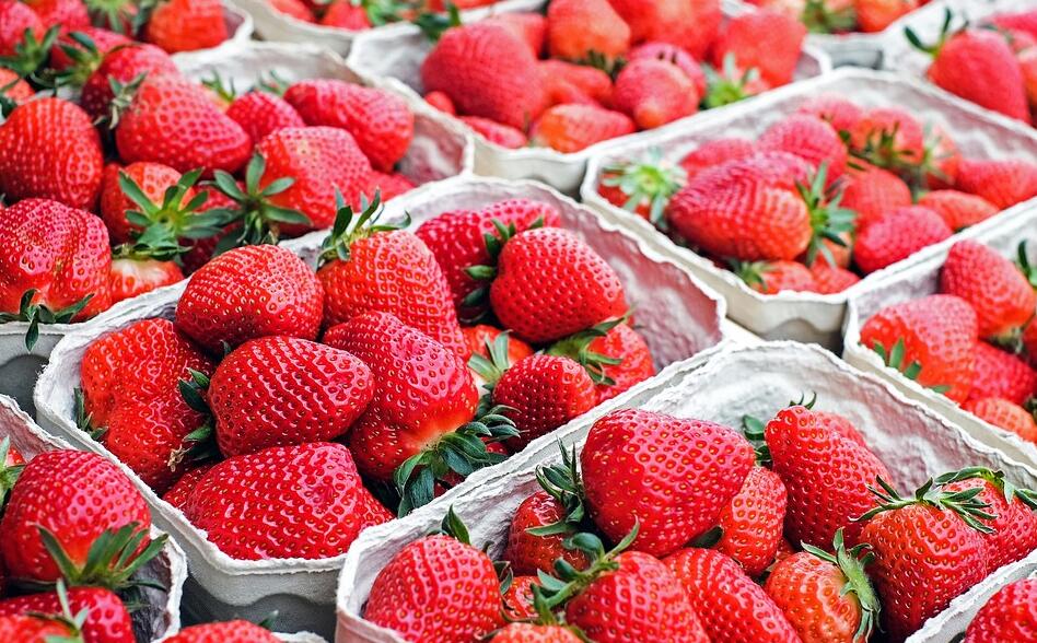 草莓定植期间如何提前防治病虫害？