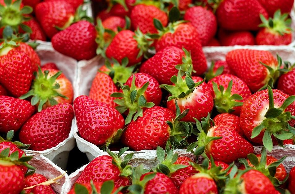 草莓在定值的时候有哪些病虫害？怎么防治？