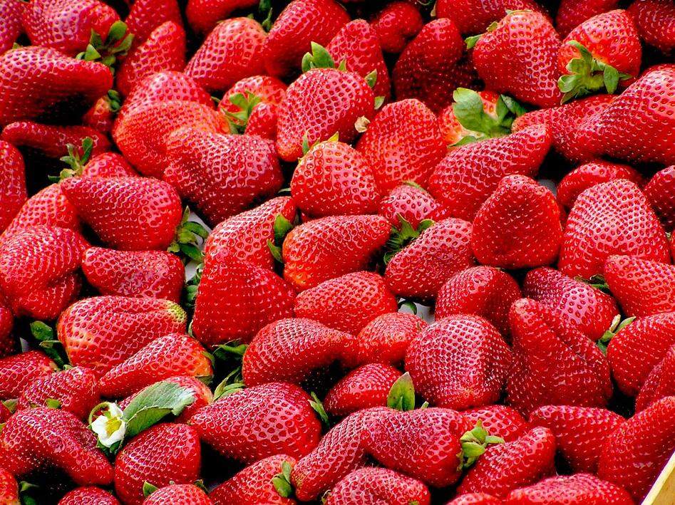 无公害草莓对农药、植物生长调节剂有哪些要求？
