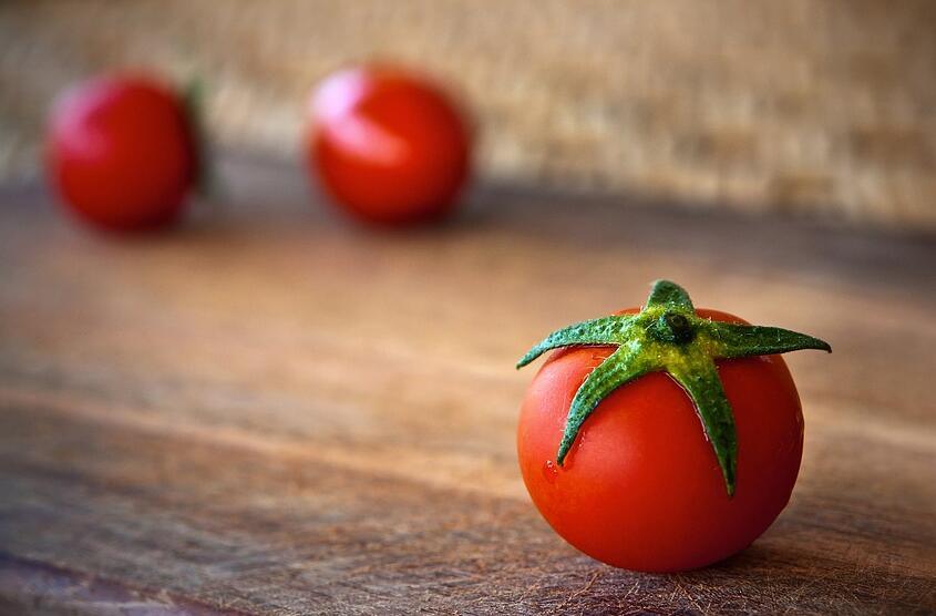 番茄越冬育苗，如何防治番茄立枯病？
