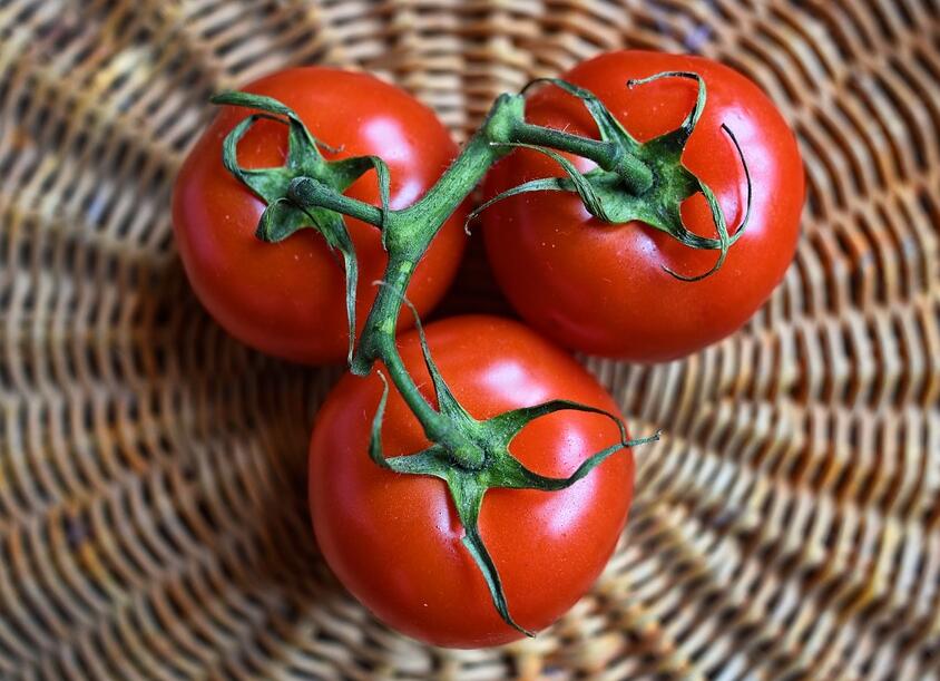 害怕番茄长脐腐病？正确施肥可预防