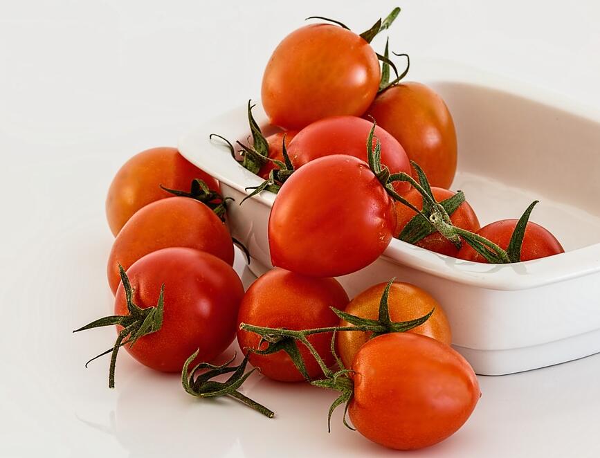 如何防治番茄细菌性斑疹病？番茄细菌性斑疹病的发病规律