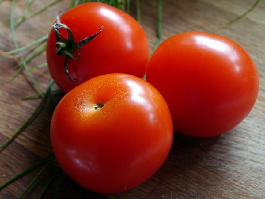 冬季番茄晚疫病高发期，如何有效防治番茄晚疫病？