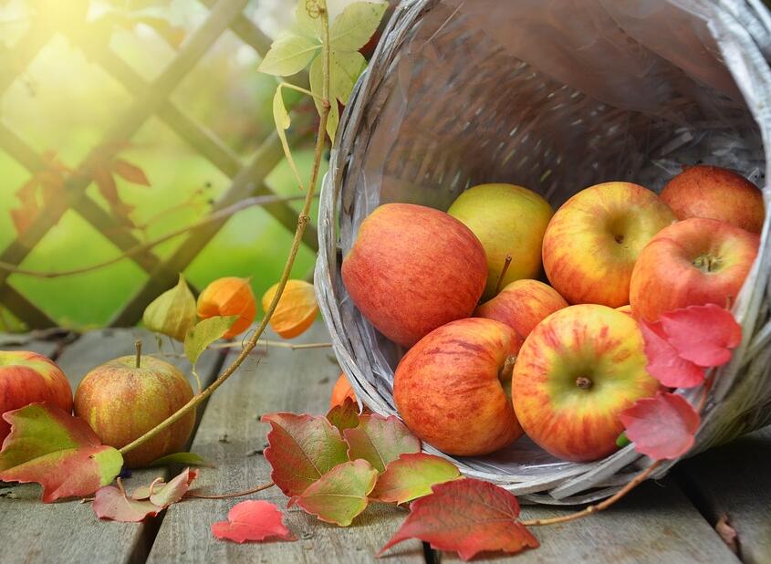 种植过程中苹果开花前后病虫害的防治方法有哪些?