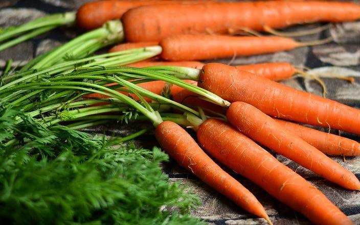 三种方法，让您种植的胡萝卜产量倍增！
