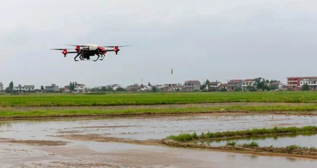 水稻直播，为什么选极飞农业无人机？