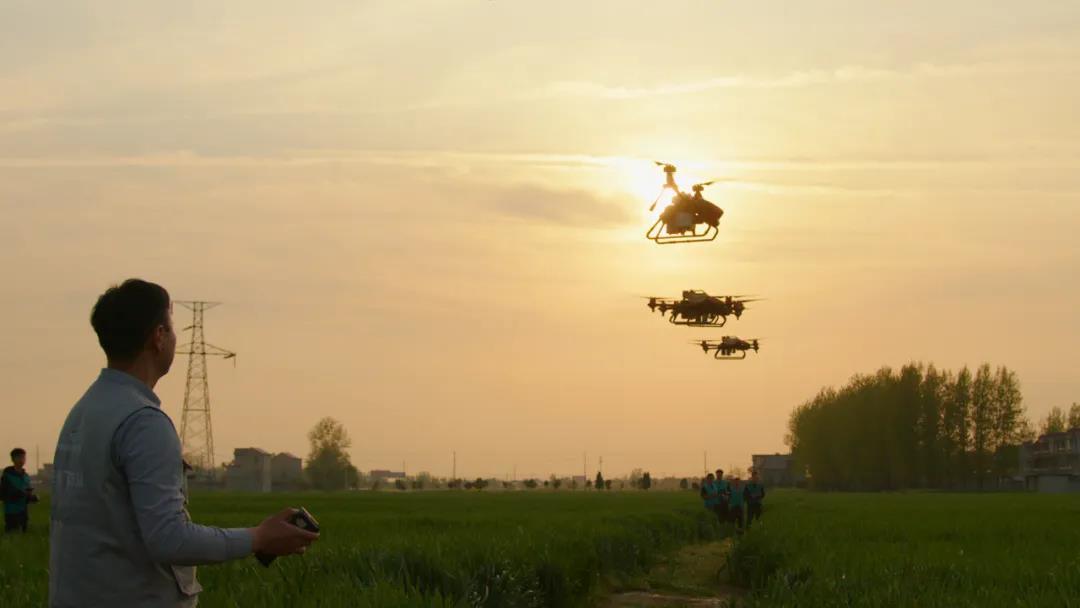 当代年轻人如何运用极飞的农业科技实现乡村振兴