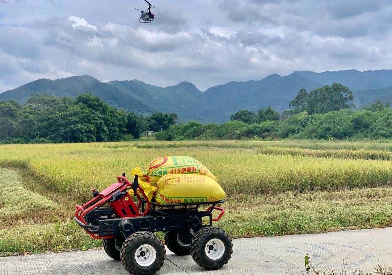 稻花香里話豐收節  極飛科技助新農人糧食收滿倉