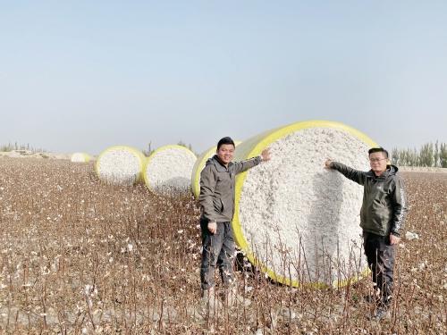 种棉“游戏” —新疆尉犁县“90后”的无人农场印象