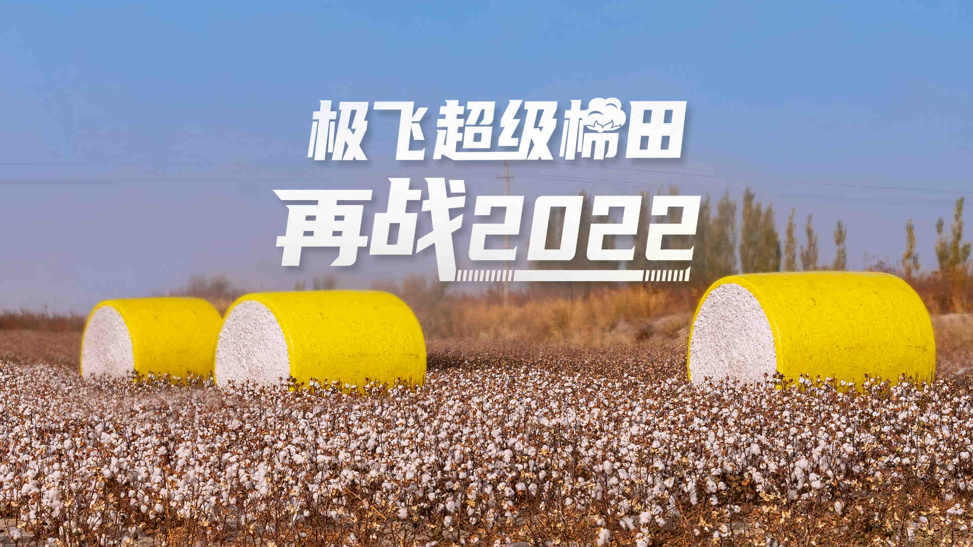 认识极飞 | 超级棉田第二季重磅回归，挑战棉花 400 公斤亩产量！