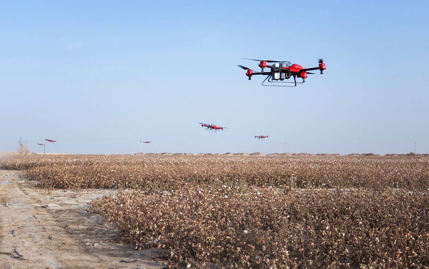 Large Scale Defoliation Operations for Cotton Successfully Conducted in Xinjiang China