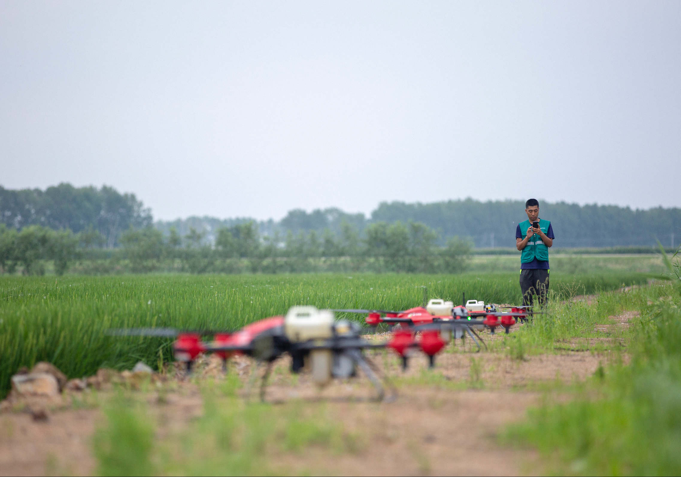 Plant Protection UAS Demand Rising in Northeast China