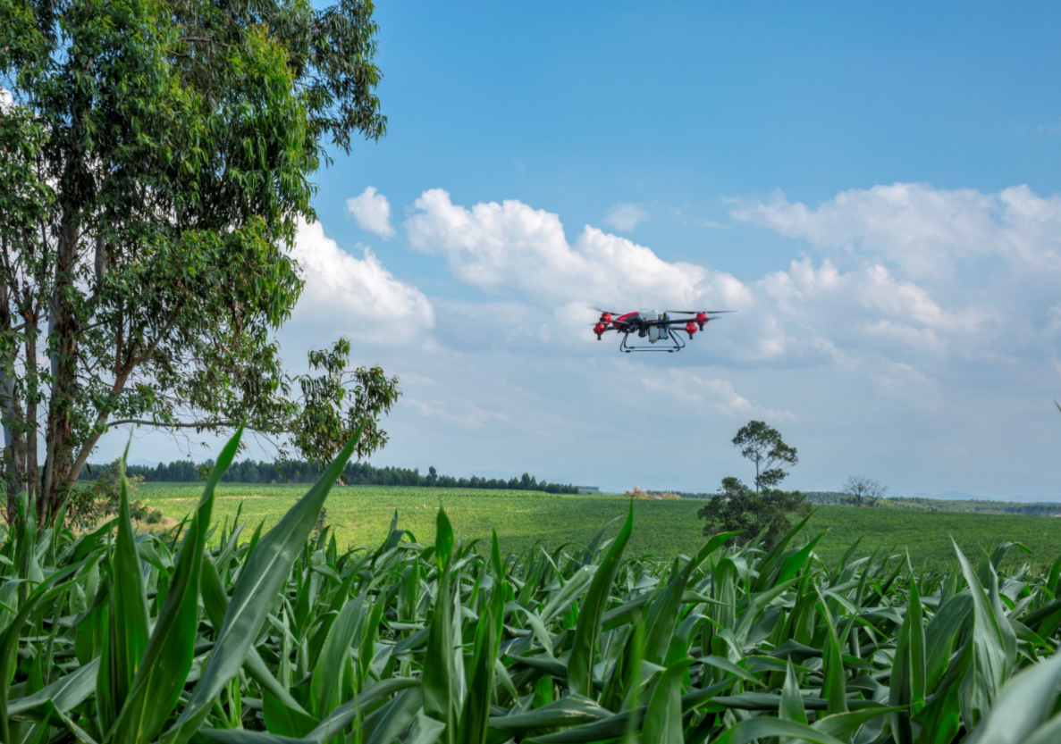 Drone as New Tech to Battle the Crop-Devouring Fall Armyworm