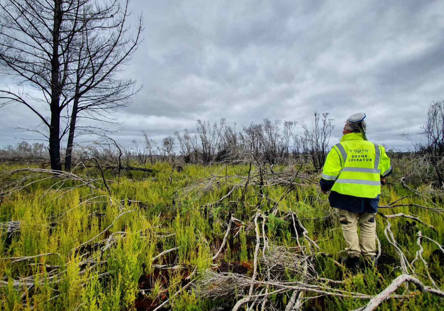 XAG Deploys Drones to Seed Burned Land for Australian Fire Recovery 