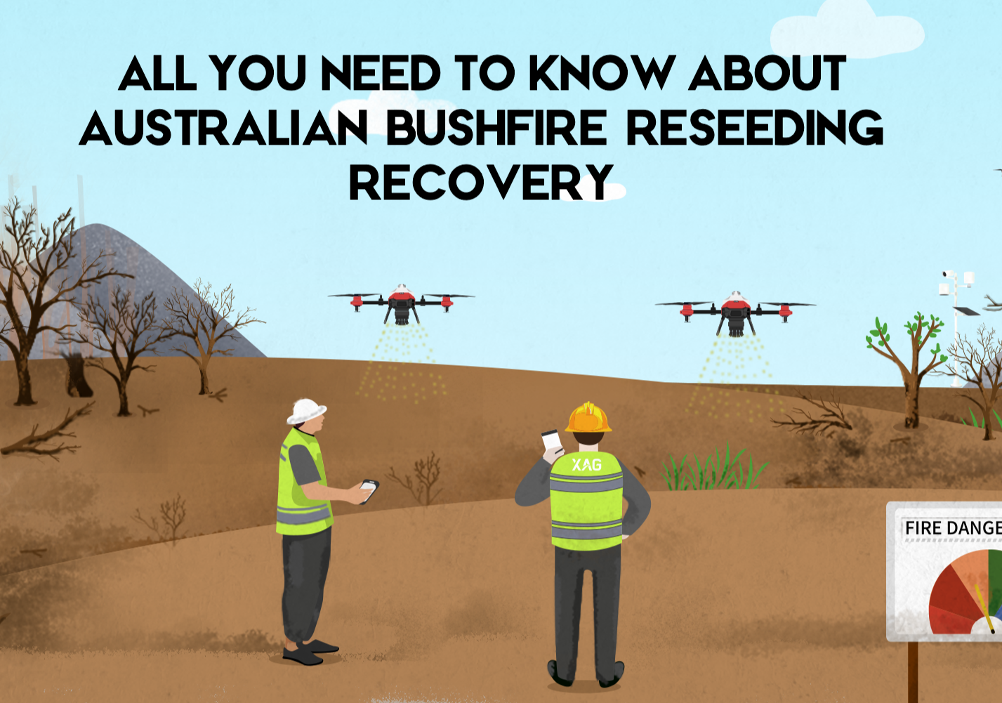 How to regrow vegetation after a wildfire in Australia?