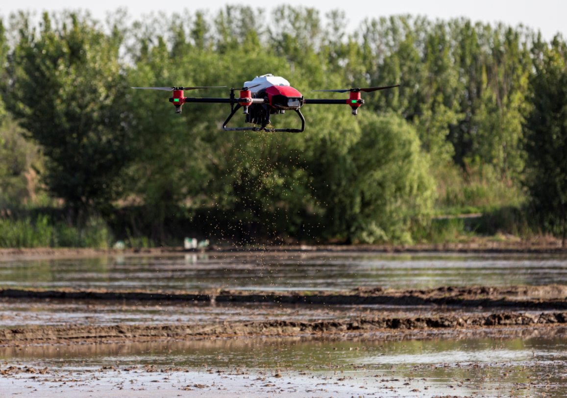 Automated Farming: XAG Introduces Rice Seeding Drone to Mitigate Labour Shortage