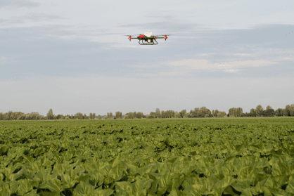Sunny Side Up: XAG Spray Drones Come as Emergency Help to Secure Ukraine Sunflower Sunny Side Up: XAG Spray Drones Come as Emergency Help to Secure Ukraine Sunflower