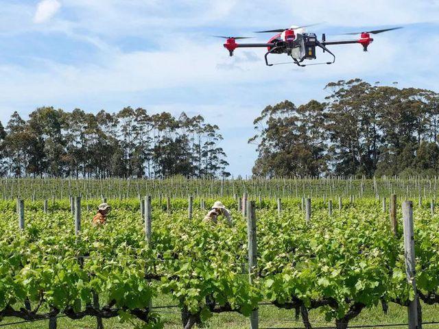 极飞无人机正在帮助农户加速下药.jpg