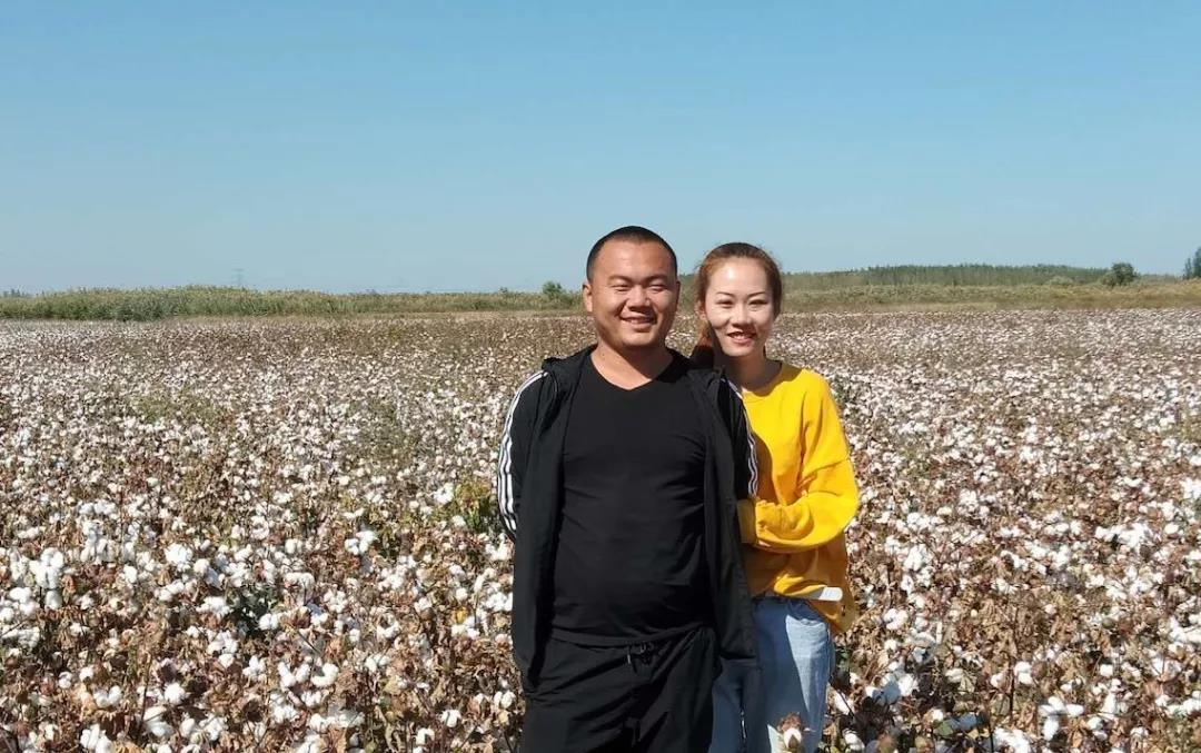 新疆棉花地上的农户