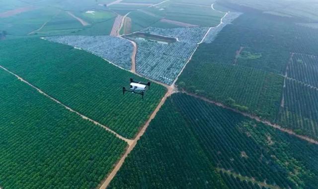从 3 亿亩农田里长出来的中国 AI 技术，农业部与联合国粮农组织怎么看？