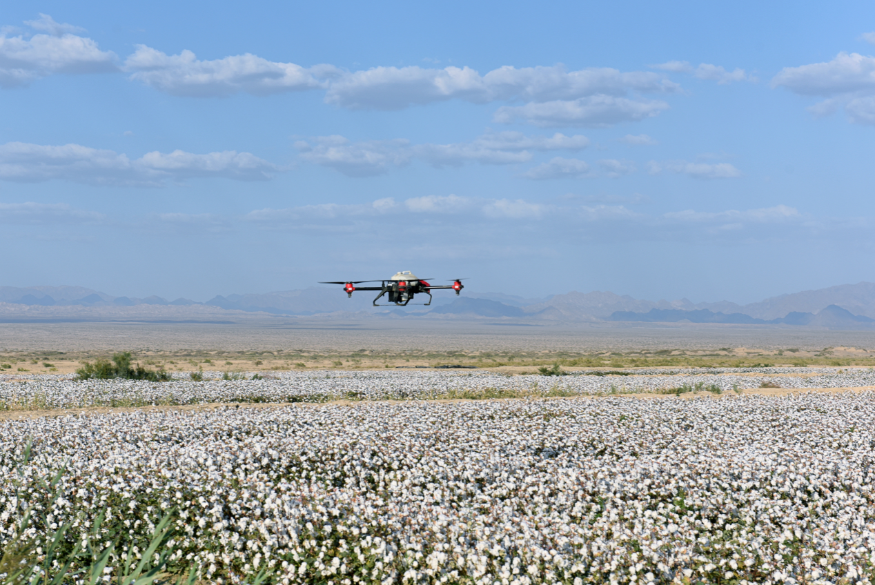 XAG P Series Plant Protection UAS spray for cotton defoliation