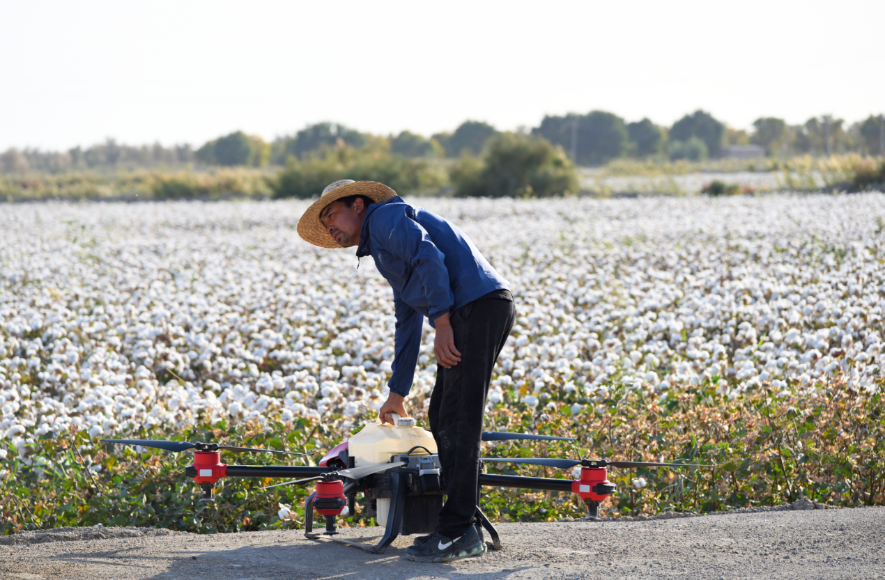 Cotton growers with XAG P Series Plant Protection UAS