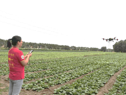 Sheng Guangning operated XAG's P Series plant protection drone