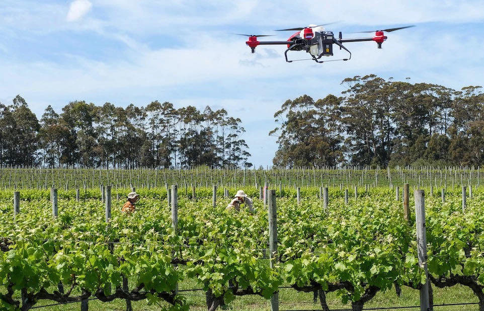 Spraying vineyard in Australia