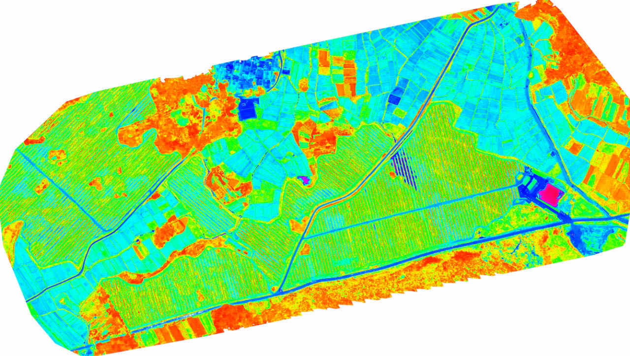 Remote sensing map that identifies crop condition