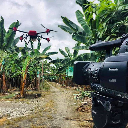 XAG drone for banana tree spraying