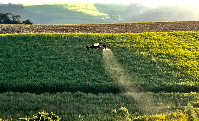 XAG P Series drone on the work of sugarcane ripening in SA