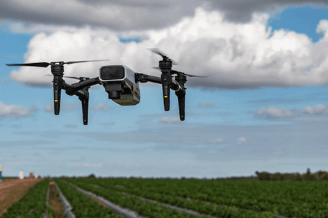 XMission survey drone photographed digital field map on strawberries   