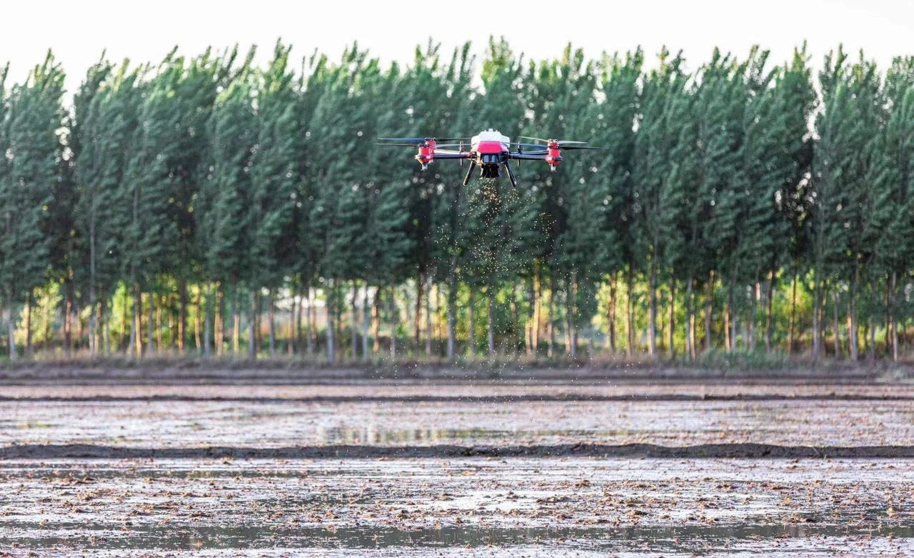 XAG Agricultural Drone conducted direct rice seeding