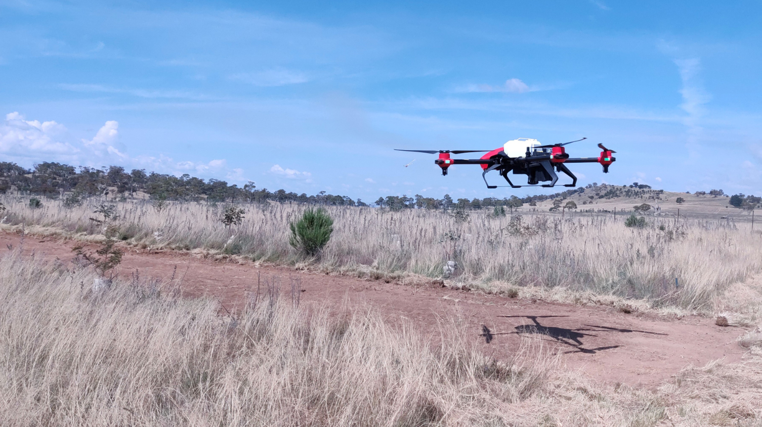 XAG Agricultural Drone seeded the degraded pasture
