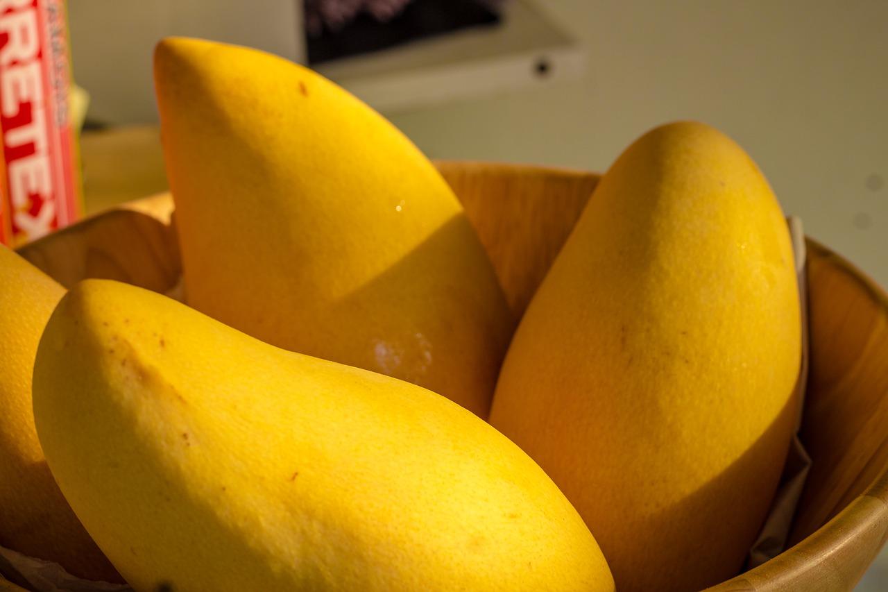 The juicy mango fruits