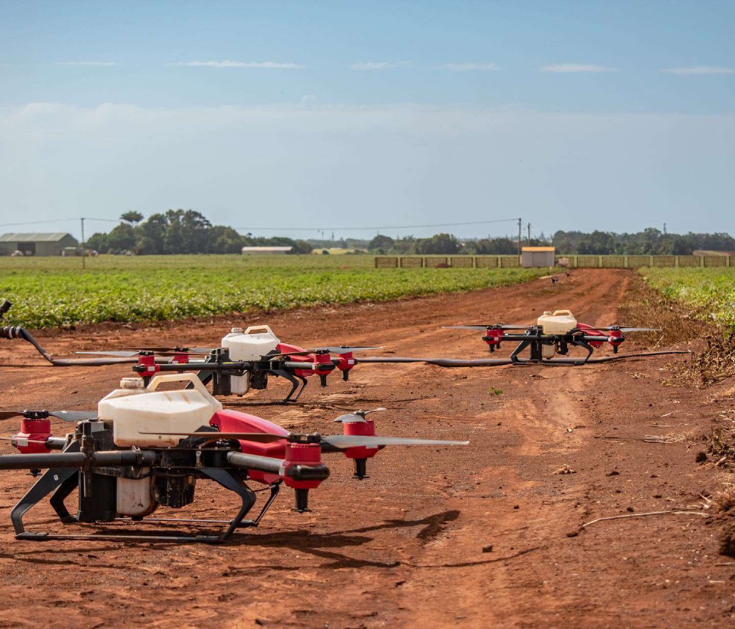 XAG Agricultural Drone swarm ready to take off