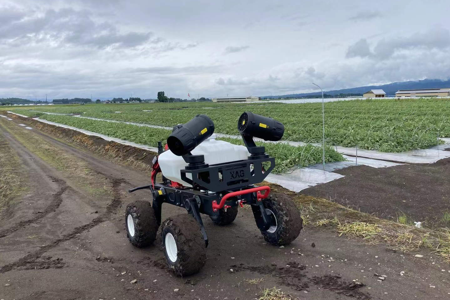 R150 carried to the watermelon field