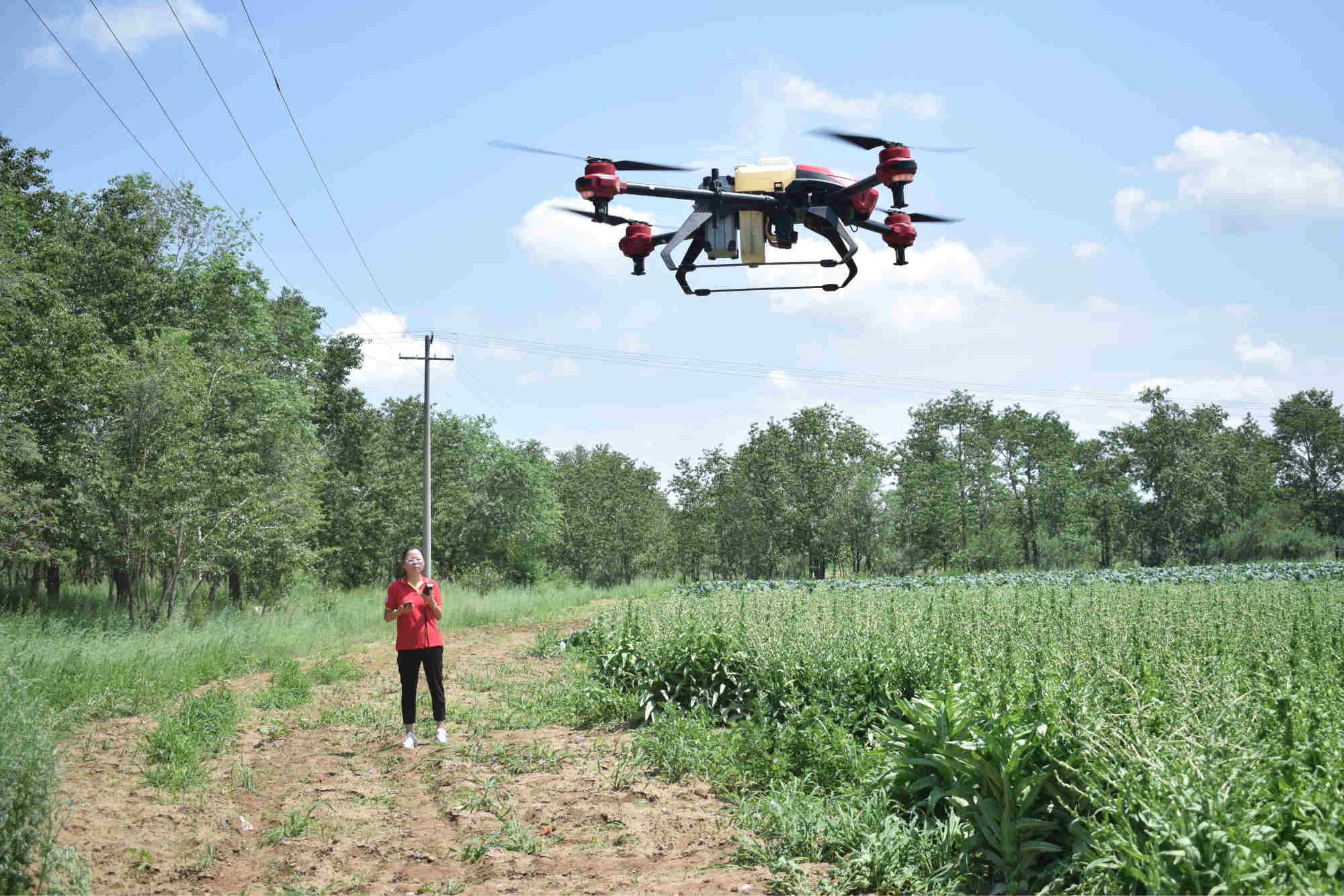 Sheng operates the drone to perform pest control