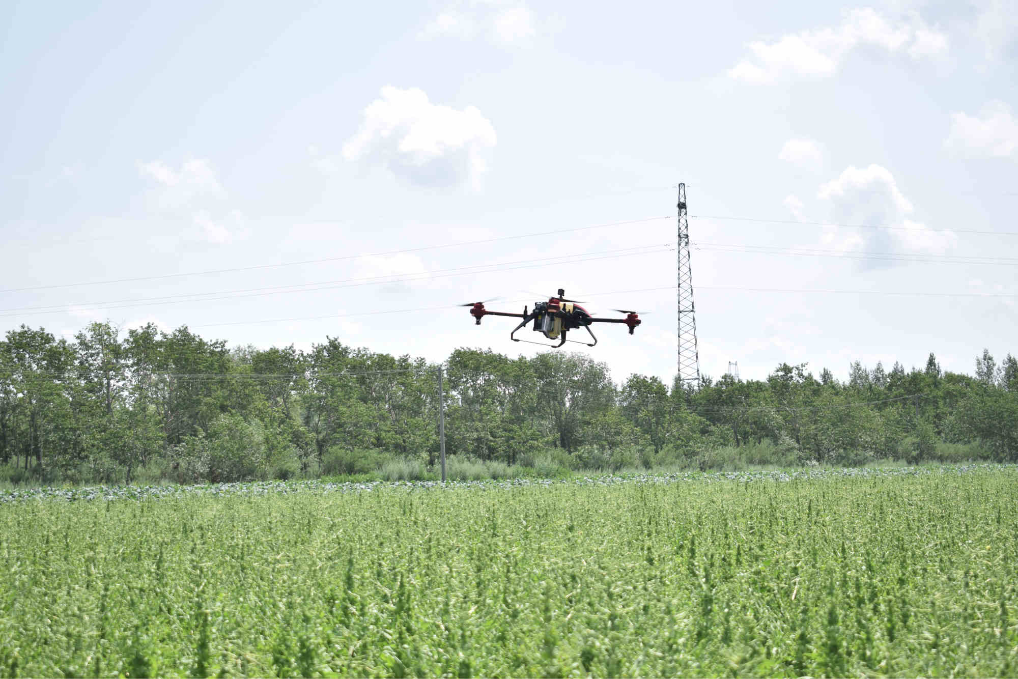 Drone spraying is highly efficient than manual spraying